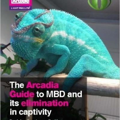 The Arcadia Guide To MBD And Its Elimination In Captivity