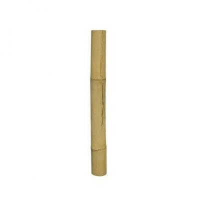 Bambou  longueur 1 M / diamètre +/-  5 cm