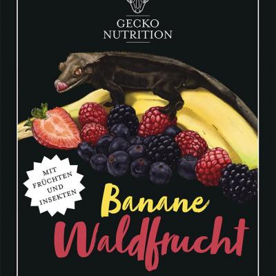 Gecko Nutrition Banane /Fruit des bois 50gr