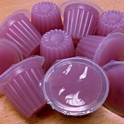 jelly pots raisin ( calcium + cricket food V 3.0)
