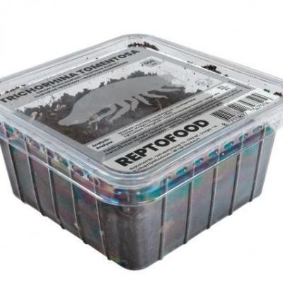 Boite de Cloportes tropicaux 500ML