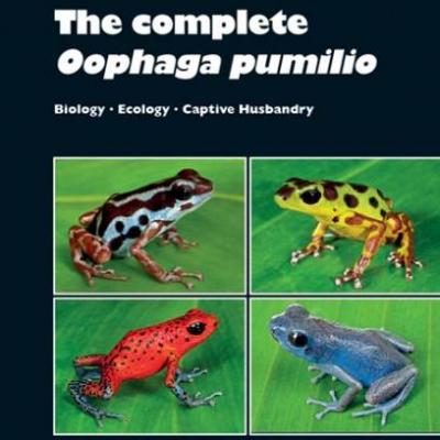 The Complete Oophaga pumilio