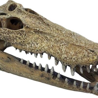 Croco xl