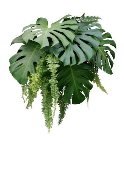 Istockphoto 1025389810 612x612