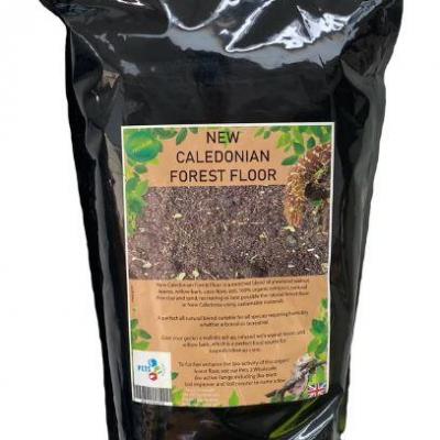New Caledonian forest Floor 10L