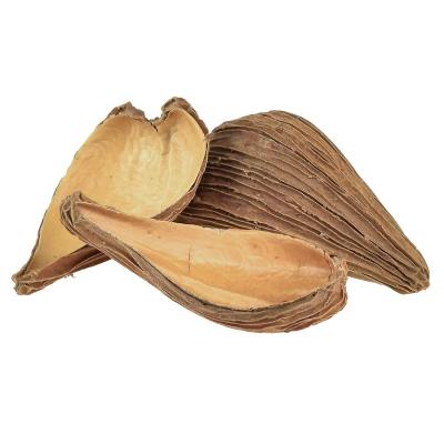 Pradeep pods natur 50st 4260520577437 001