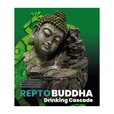 Repto buddha drinking cascade