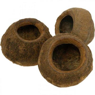 Sapucaja gross 3st 2165 1