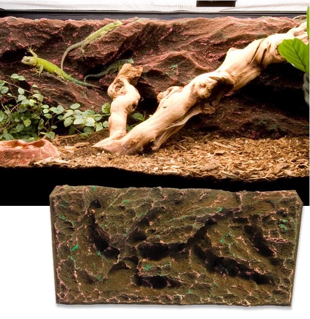 T rex rock ridge vivarium background 10 gal josh s frogs