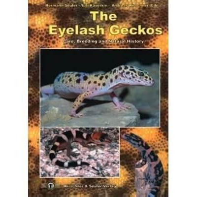 The Eyelash Geckos  Care, breeding and natural history