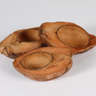 X134lw demi noix de coco naturelles sechees 14x21cm p image 118088 grande 1 